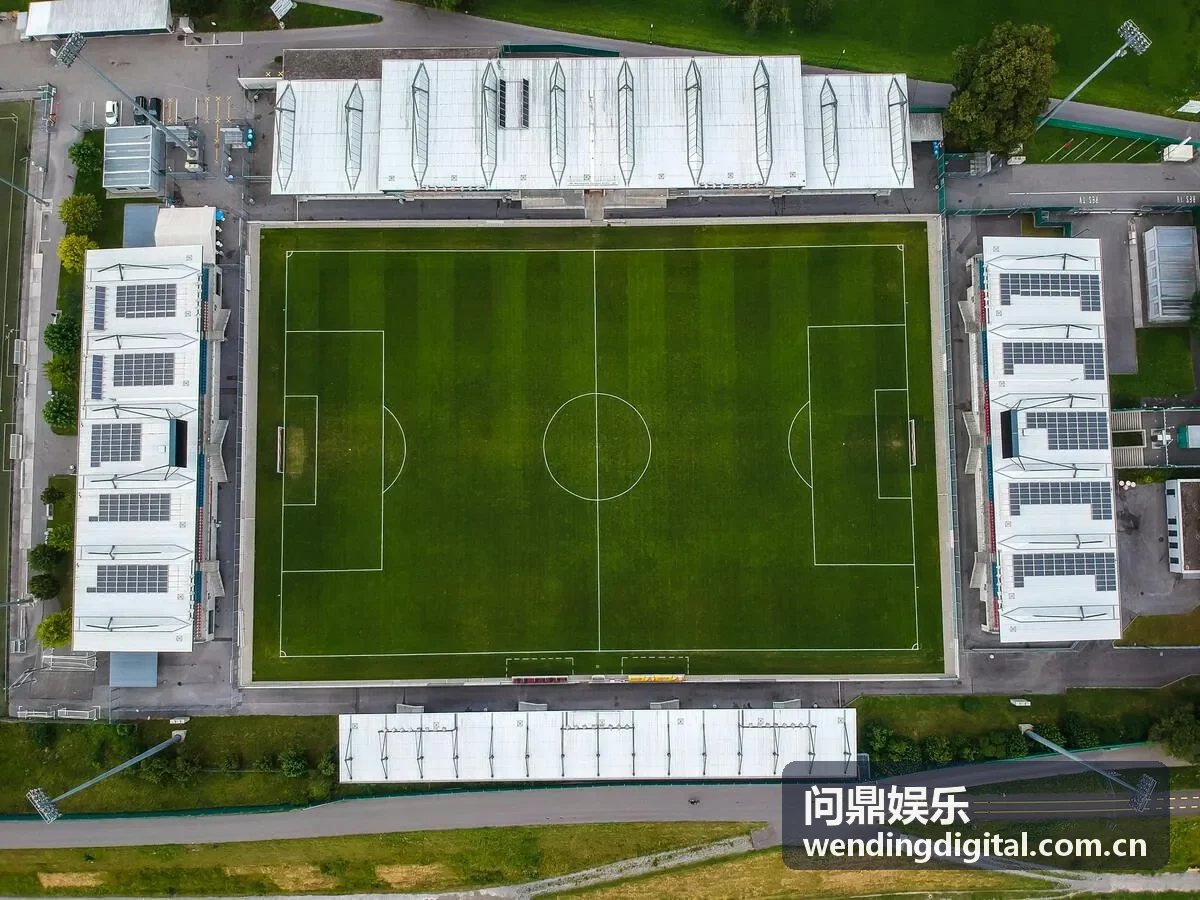 问鼎娱乐年度总决赛圆满落幕